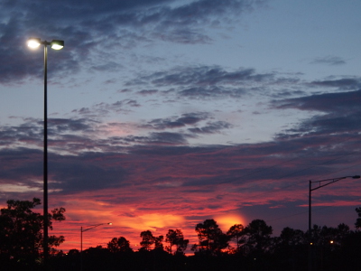 [At the very top of the image is blue sky and some grey-blue clouds. Below that is a bank of clouds which extend behind the trees in the distance. At the tree level are bright orange-pink clouds with a few bright orange blobs that must be a different type of cloud. The rest of the cloud bank is dark blue with some pink strips. The street lights are on and visible in the image.]